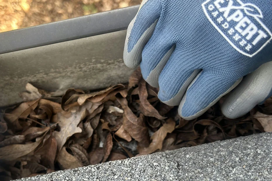 Gutter Cleaning Isle of Palms