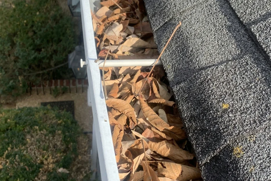 Gutter Cleaning Isle of Palms