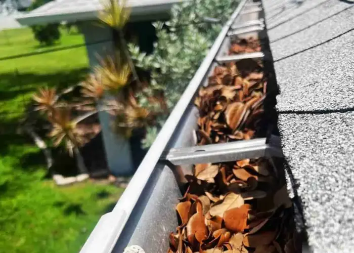 Gutter Cleaning Isle of Palms home page